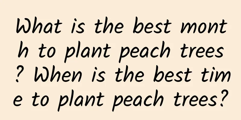 What is the best month to plant peach trees? When is the best time to plant peach trees?