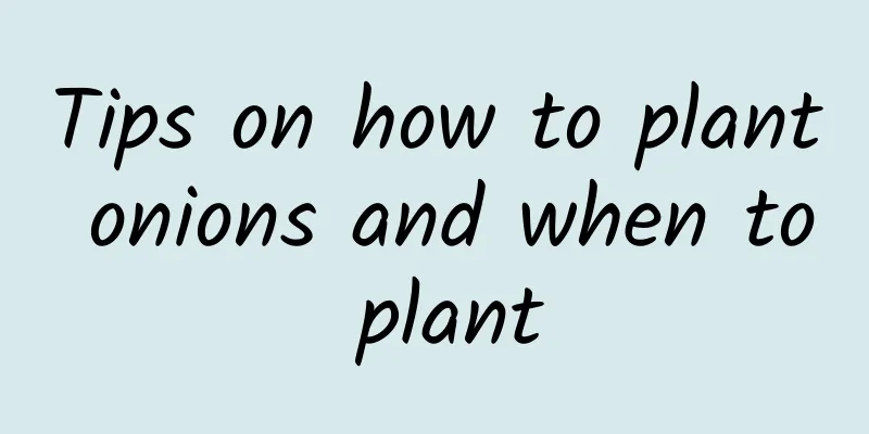 Tips on how to plant onions and when to plant
