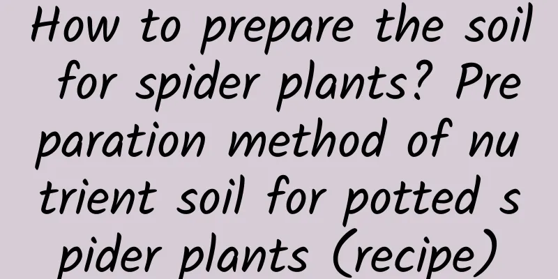 How to prepare the soil for spider plants? Preparation method of nutrient soil for potted spider plants (recipe)