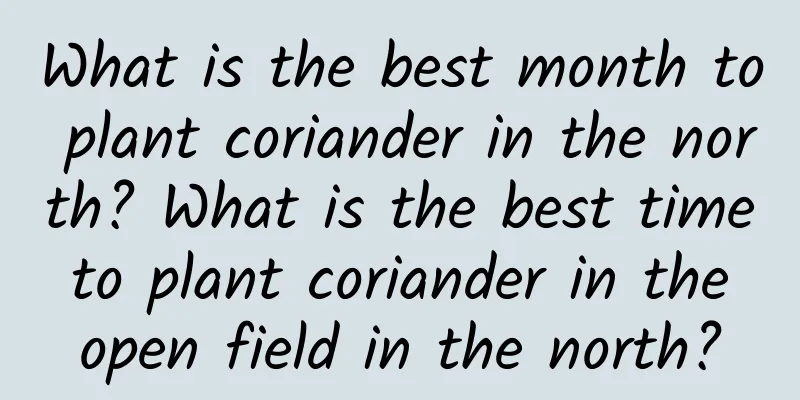 What is the best month to plant coriander in the north? What is the best time to plant coriander in the open field in the north?