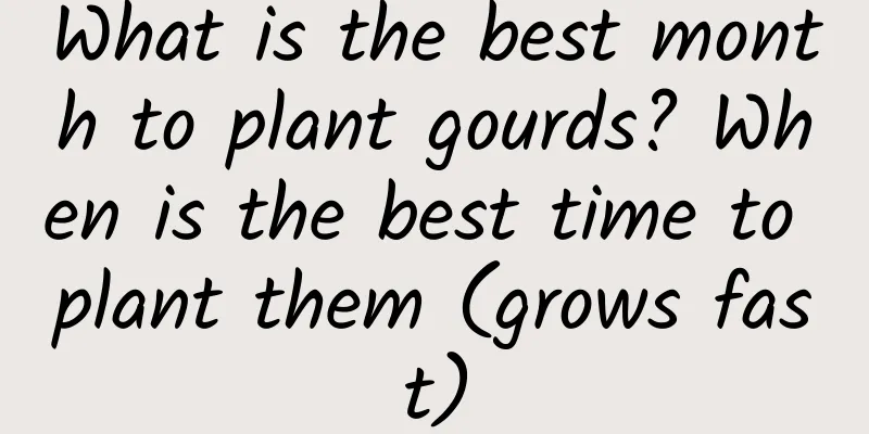 What is the best month to plant gourds? When is the best time to plant them (grows fast)