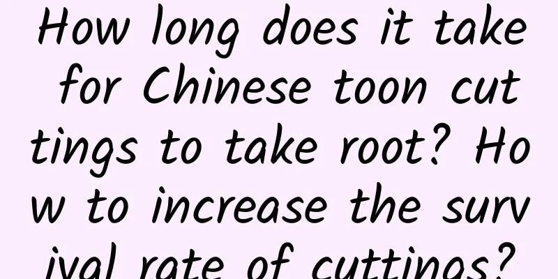 How long does it take for Chinese toon cuttings to take root? How to increase the survival rate of cuttings?