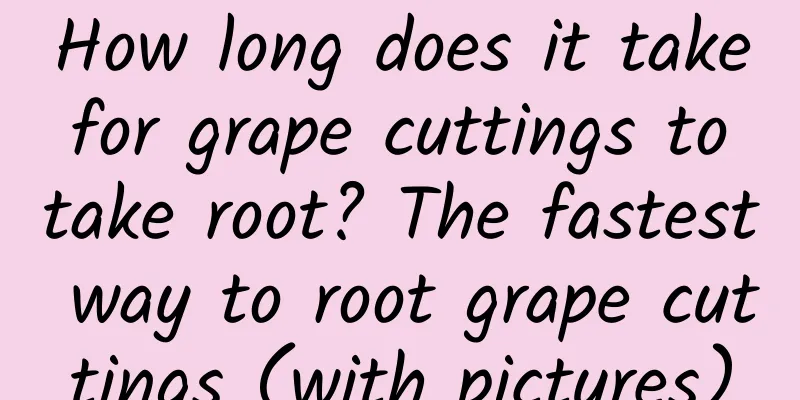 How long does it take for grape cuttings to take root? The fastest way to root grape cuttings (with pictures)
