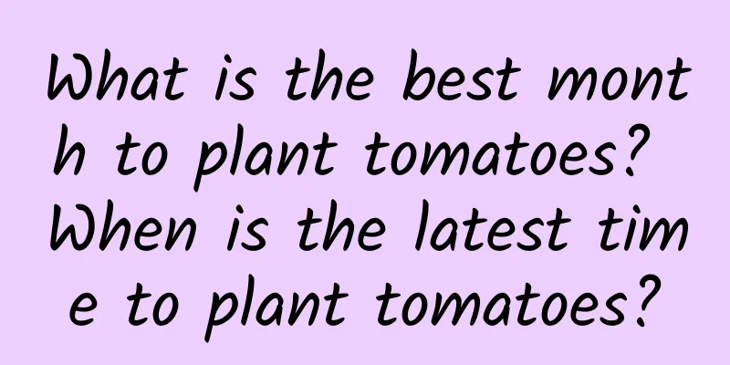 What is the best month to plant tomatoes? When is the latest time to plant tomatoes?