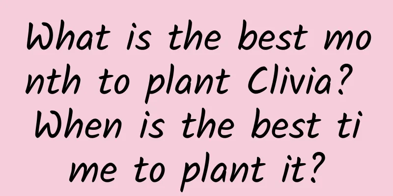 What is the best month to plant Clivia? When is the best time to plant it?