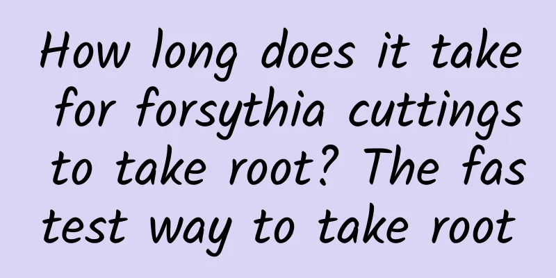 How long does it take for forsythia cuttings to take root? The fastest way to take root