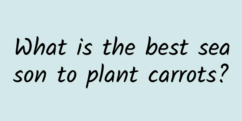 What is the best season to plant carrots?