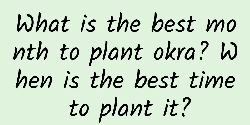 What is the best month to plant okra? When is the best time to plant it?
