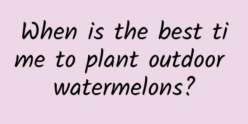 When is the best time to plant outdoor watermelons?