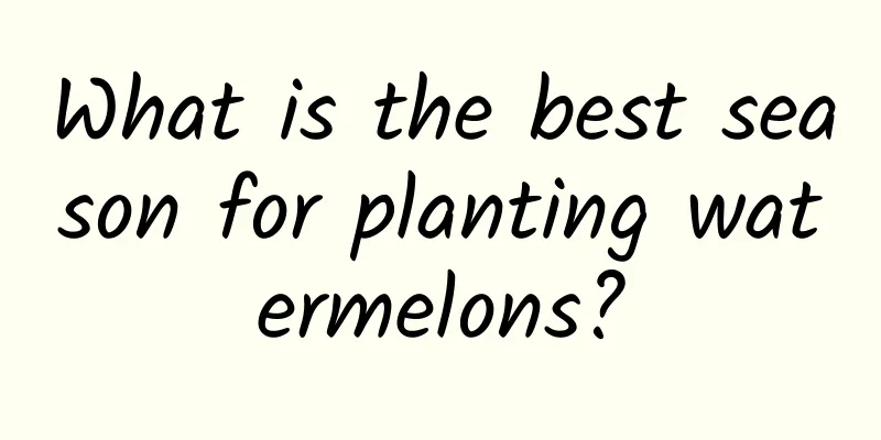 What is the best season for planting watermelons?