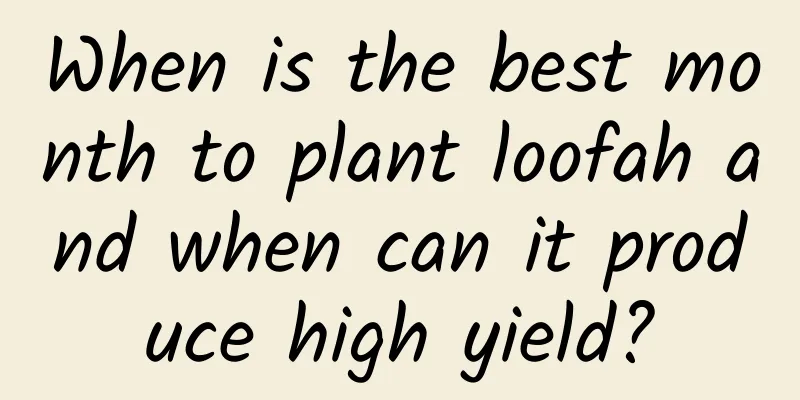 When is the best month to plant loofah and when can it produce high yield?