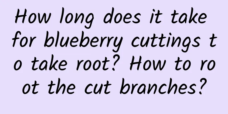 How long does it take for blueberry cuttings to take root? How to root the cut branches?
