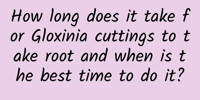 How long does it take for Gloxinia cuttings to take root and when is the best time to do it?