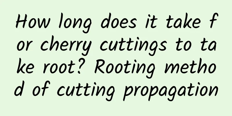 How long does it take for cherry cuttings to take root? Rooting method of cutting propagation
