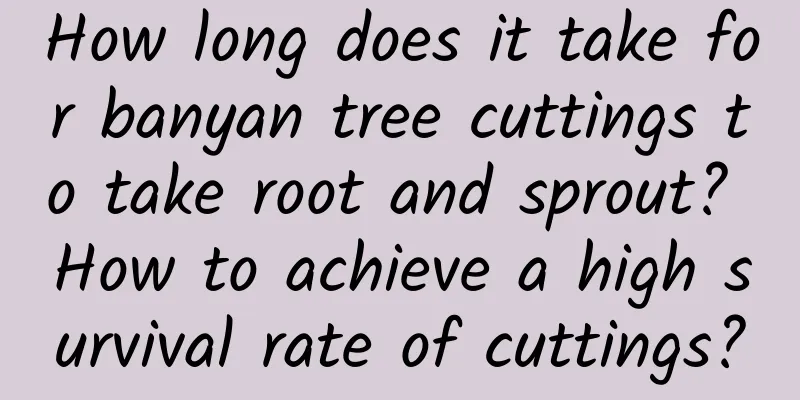 How long does it take for banyan tree cuttings to take root and sprout? How to achieve a high survival rate of cuttings?