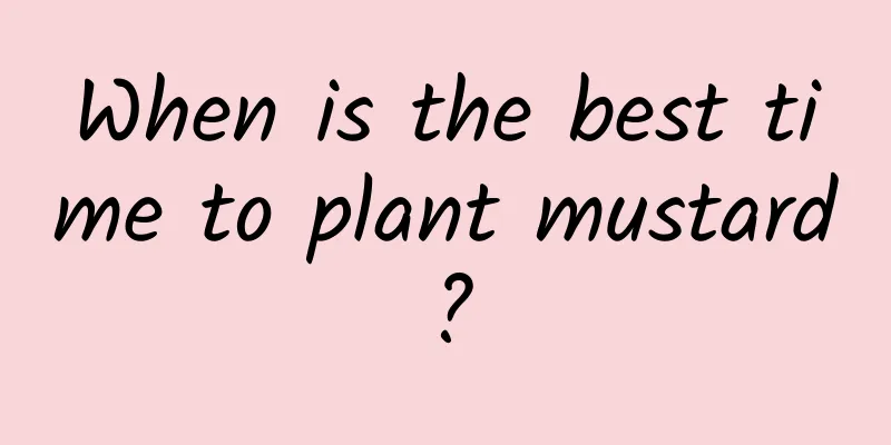 When is the best time to plant mustard?