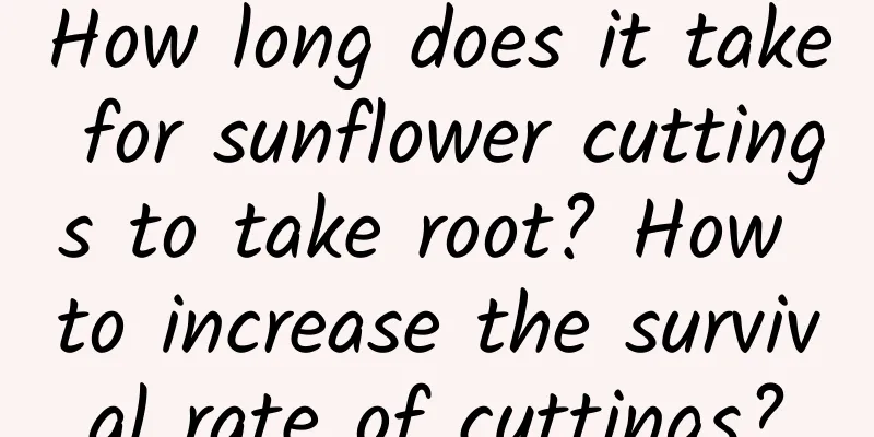 How long does it take for sunflower cuttings to take root? How to increase the survival rate of cuttings?