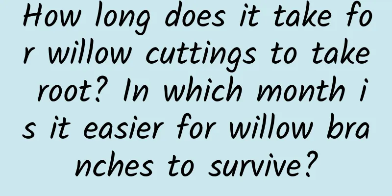 How long does it take for willow cuttings to take root? In which month is it easier for willow branches to survive?
