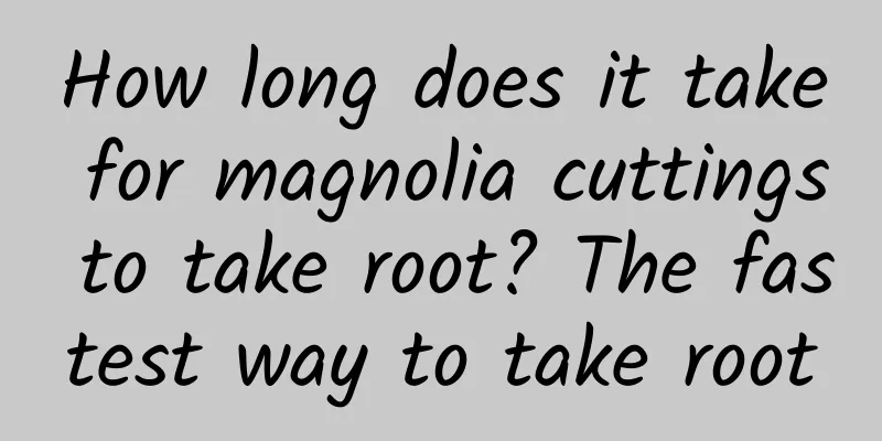 How long does it take for magnolia cuttings to take root? The fastest way to take root