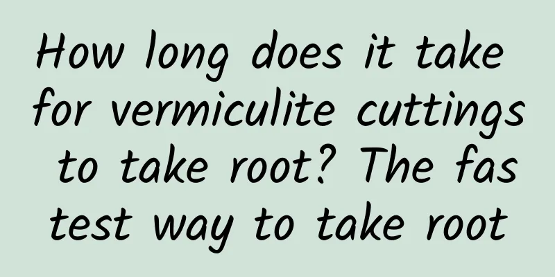 How long does it take for vermiculite cuttings to take root? The fastest way to take root
