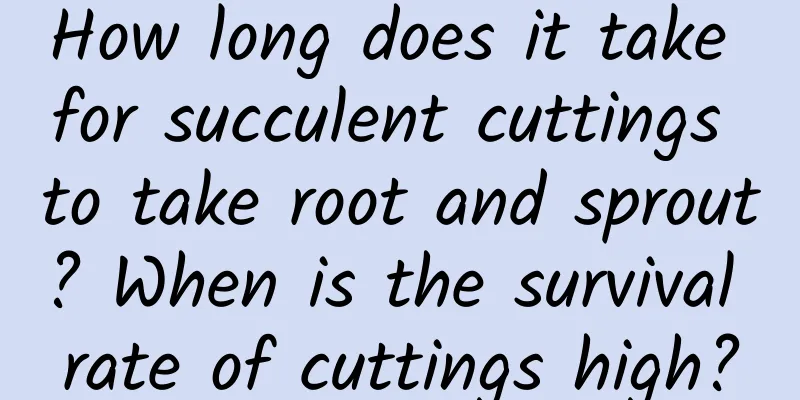 How long does it take for succulent cuttings to take root and sprout? When is the survival rate of cuttings high?