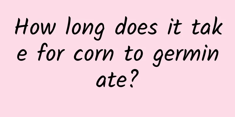 How long does it take for corn to germinate?