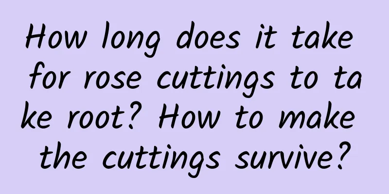 How long does it take for rose cuttings to take root? How to make the cuttings survive?