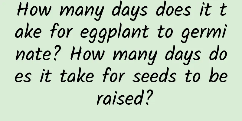 How many days does it take for eggplant to germinate? How many days does it take for seeds to be raised?