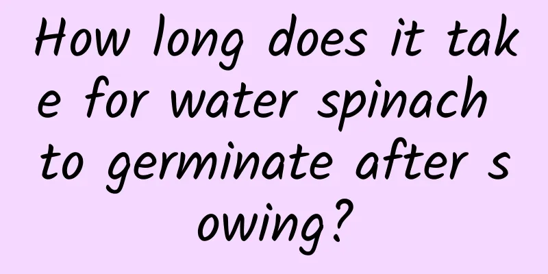 How long does it take for water spinach to germinate after sowing?