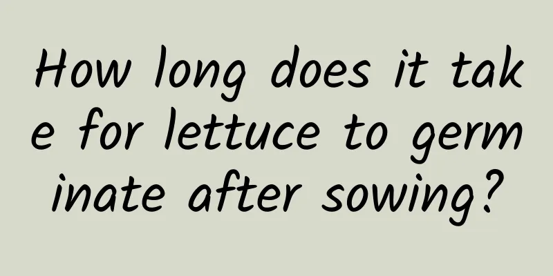 How long does it take for lettuce to germinate after sowing?