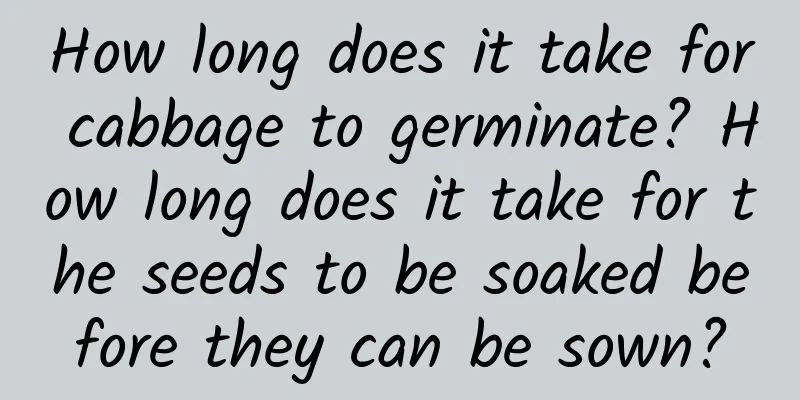 How long does it take for cabbage to germinate? How long does it take for the seeds to be soaked before they can be sown?