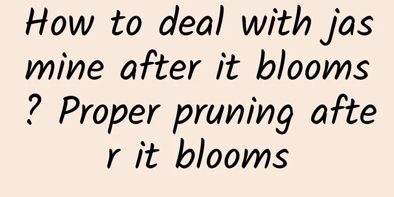 How to deal with jasmine after it blooms? Proper pruning after it blooms