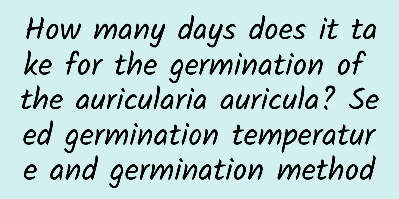 How many days does it take for the germination of the auricularia auricula? Seed germination temperature and germination method