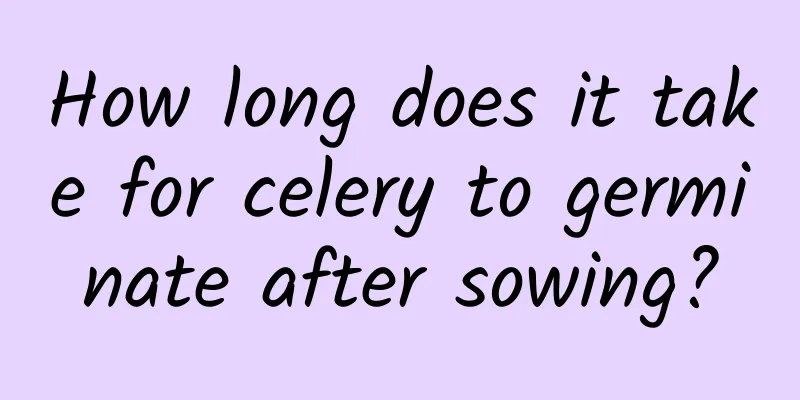 How long does it take for celery to germinate after sowing?