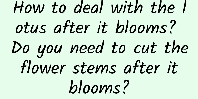 How to deal with the lotus after it blooms? Do you need to cut the flower stems after it blooms?