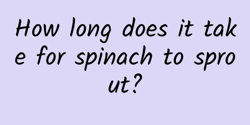 How long does it take for spinach to sprout?