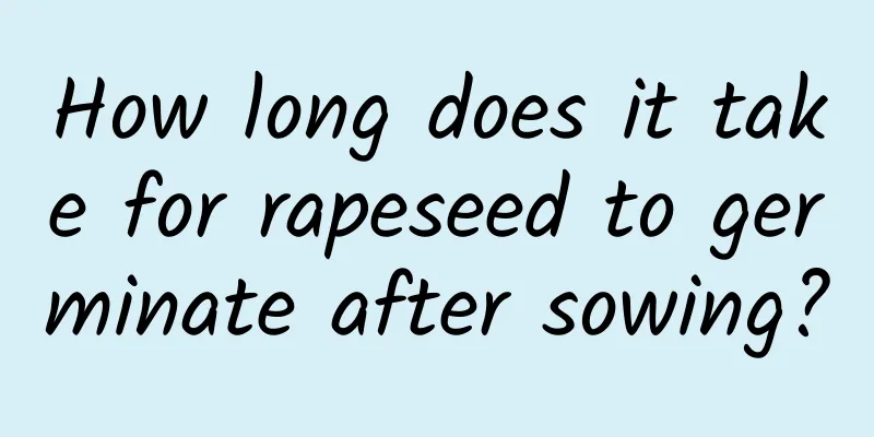 How long does it take for rapeseed to germinate after sowing?