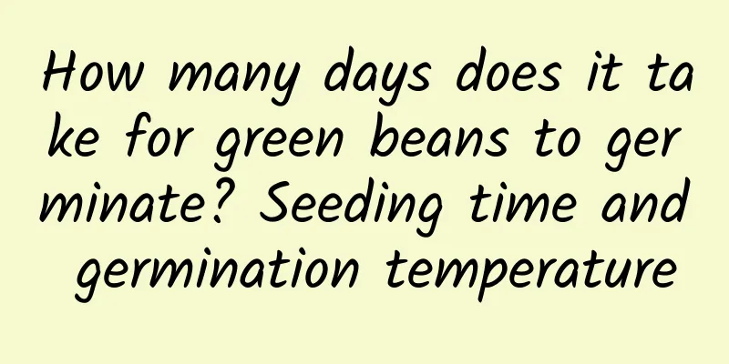 How many days does it take for green beans to germinate? Seeding time and germination temperature