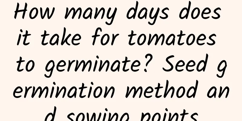 How many days does it take for tomatoes to germinate? Seed germination method and sowing points