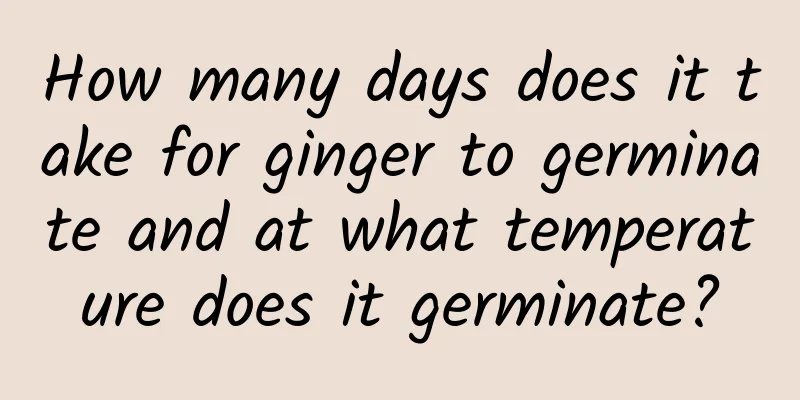 How many days does it take for ginger to germinate and at what temperature does it germinate?