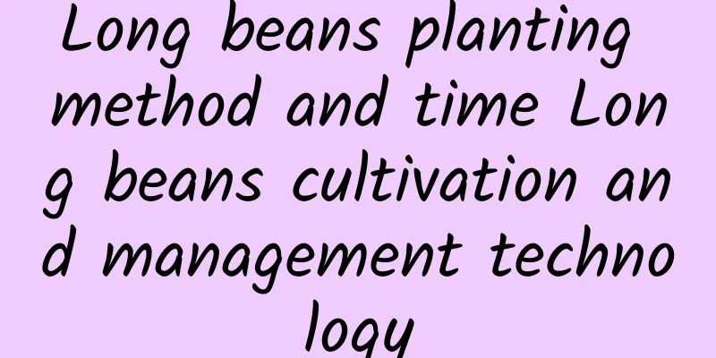 Long beans planting method and time Long beans cultivation and management technology