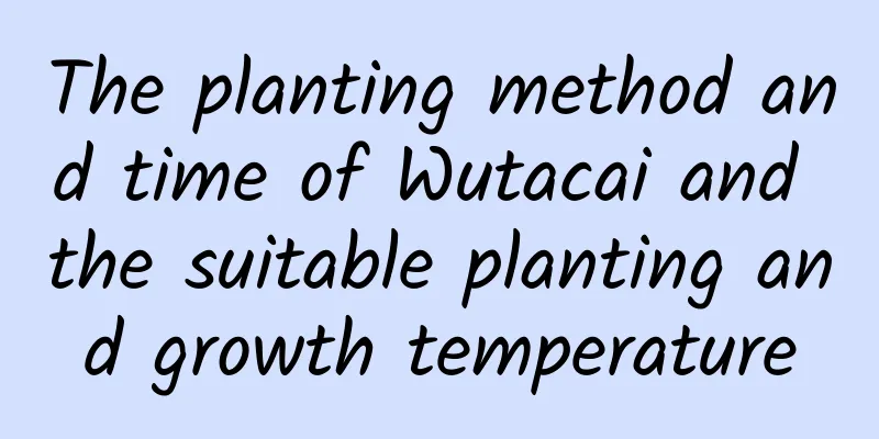The planting method and time of Wutacai and the suitable planting and growth temperature