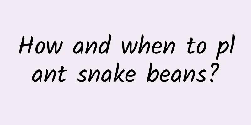 How and when to plant snake beans?