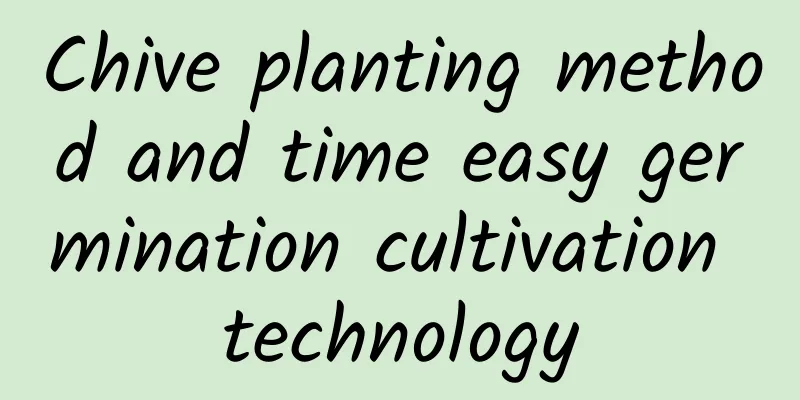 Chive planting method and time easy germination cultivation technology