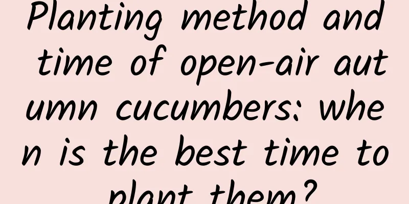 Planting method and time of open-air autumn cucumbers: when is the best time to plant them?