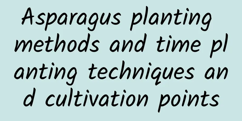 Asparagus planting methods and time planting techniques and cultivation points