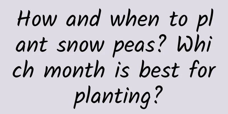 How and when to plant snow peas? Which month is best for planting?