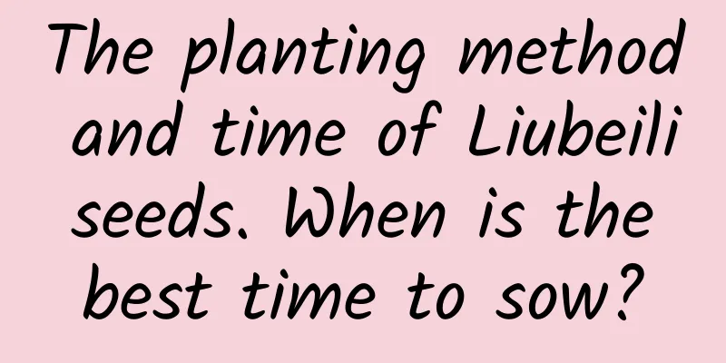 The planting method and time of Liubeili seeds. When is the best time to sow?