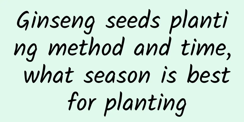 Ginseng seeds planting method and time, what season is best for planting