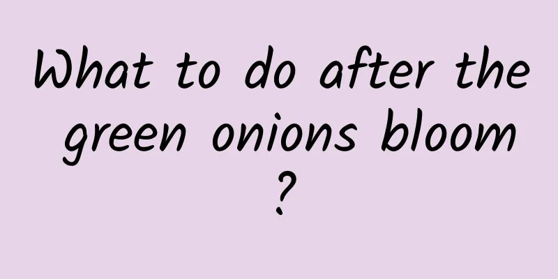 What to do after the green onions bloom?